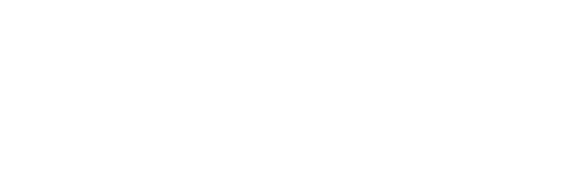 Fyber Show Piscinas, 10 anos
